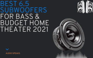 Best 6.5 Subwoofers for Bass & Budget Home Theater 2021