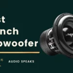 Best 12 Inch Subwoofer - Branded, Powerful, Single & Dual Subs