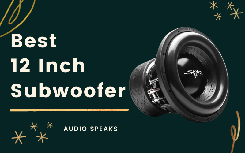 Best 12 Inch Subwoofer - Branded, Powerful, Single & Dual Subs