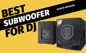 Best Subwoofer for DJ - Lightweight, Powered & Active Sound Box