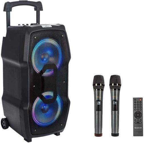 VeGue Professional Karaoke Speakers