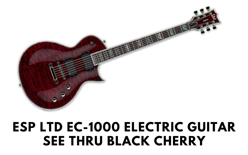 ESP LTD EC-1000 Electric Guitar, See Thru Black Cherry