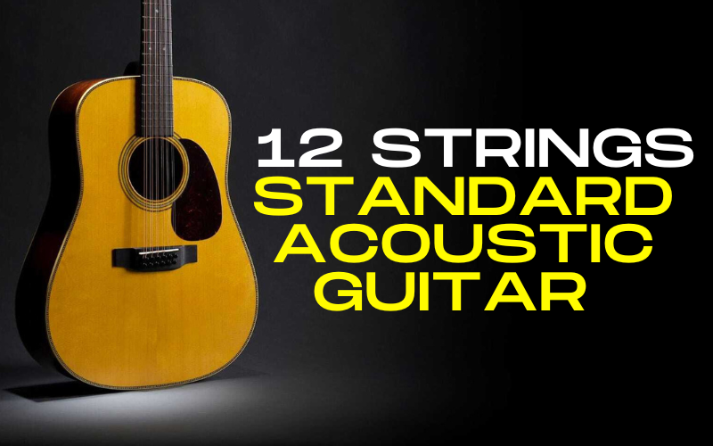 12 strings Standard Acoustic Guitar