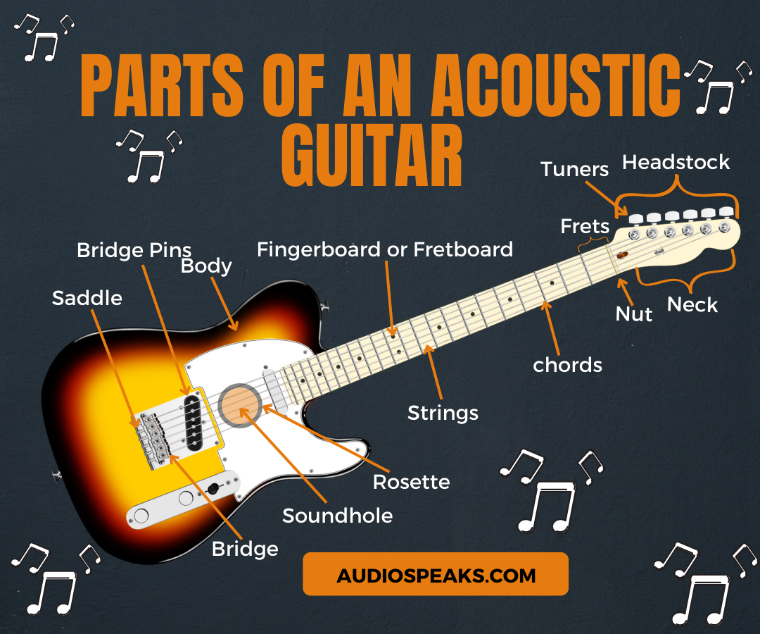 Parts of An Acoustic Guitar and Their Functions