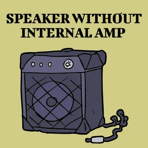 Speaker Without Internal Amp