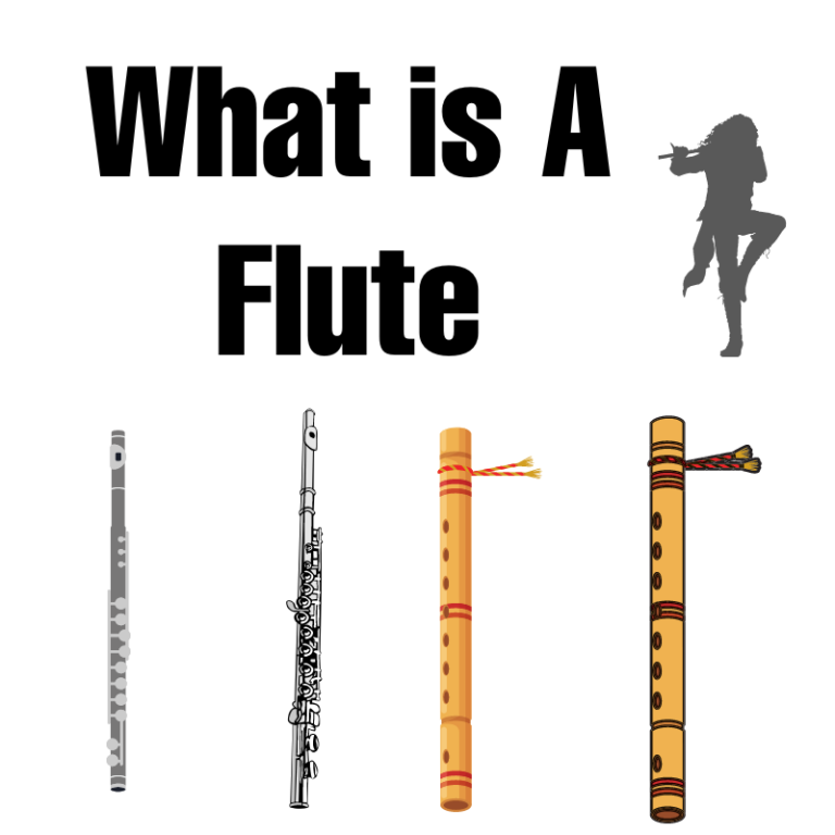 Flute vs Recorder (What's the Difference Between Them?)