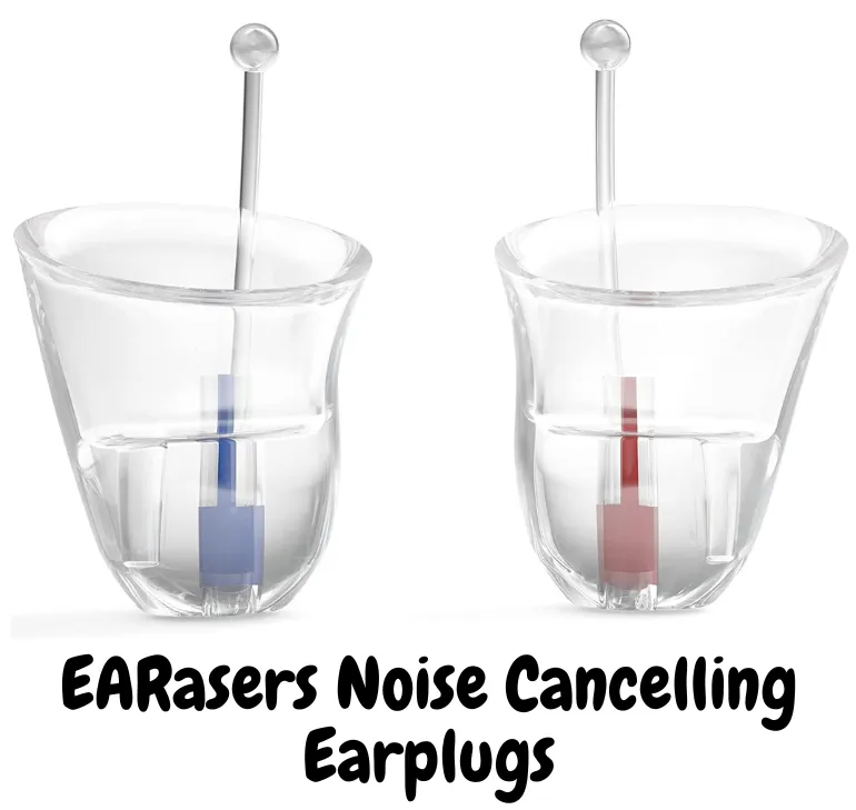 EARasers Noise Cancelling Earplugs