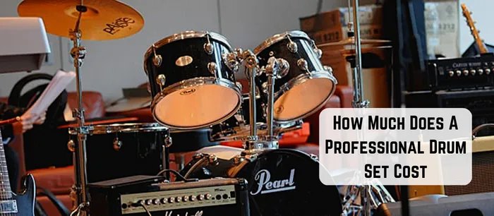 How Much Does A Professional Drum Set Cost