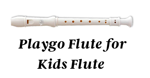 Playgo Flute for Kids Flute