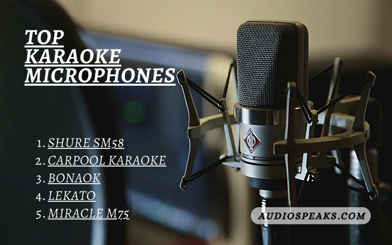 Top Karaoke Microphones