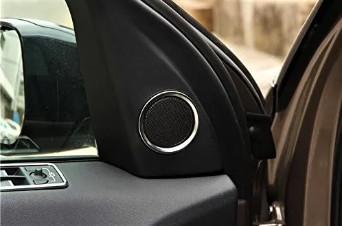 How To Clean Speaker Grill in Car