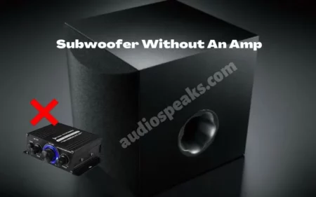 What Happens If You Use A Subwoofer Without An Amp