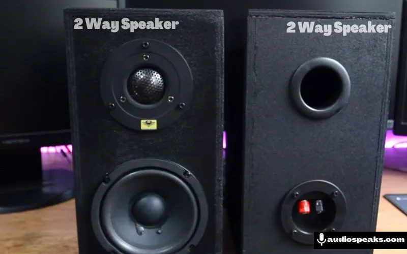 What is 2 Way Speaker