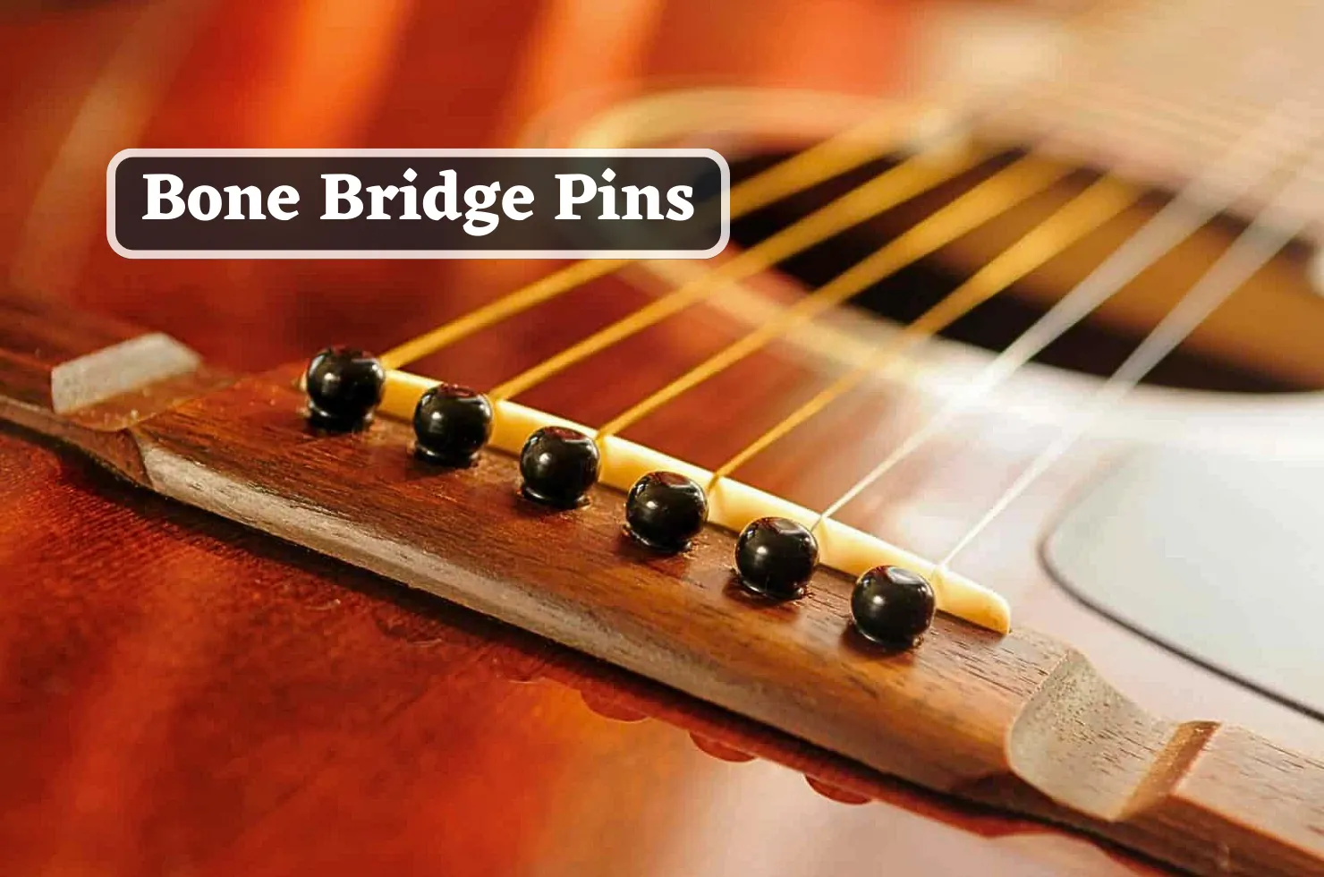 Best Bone Bridge Pins for Acoustic Guitar