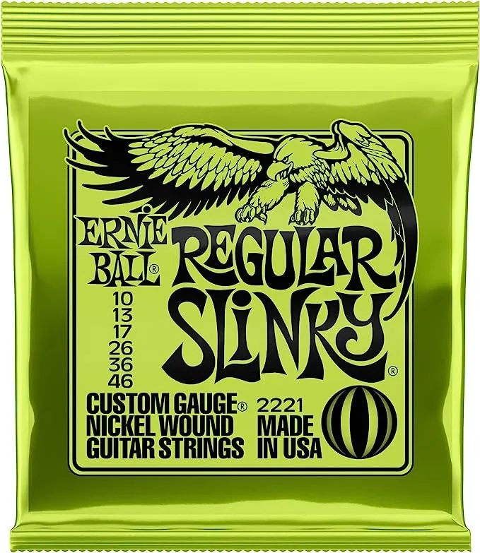 Ernie Ball Nickel Gauge String for les paul