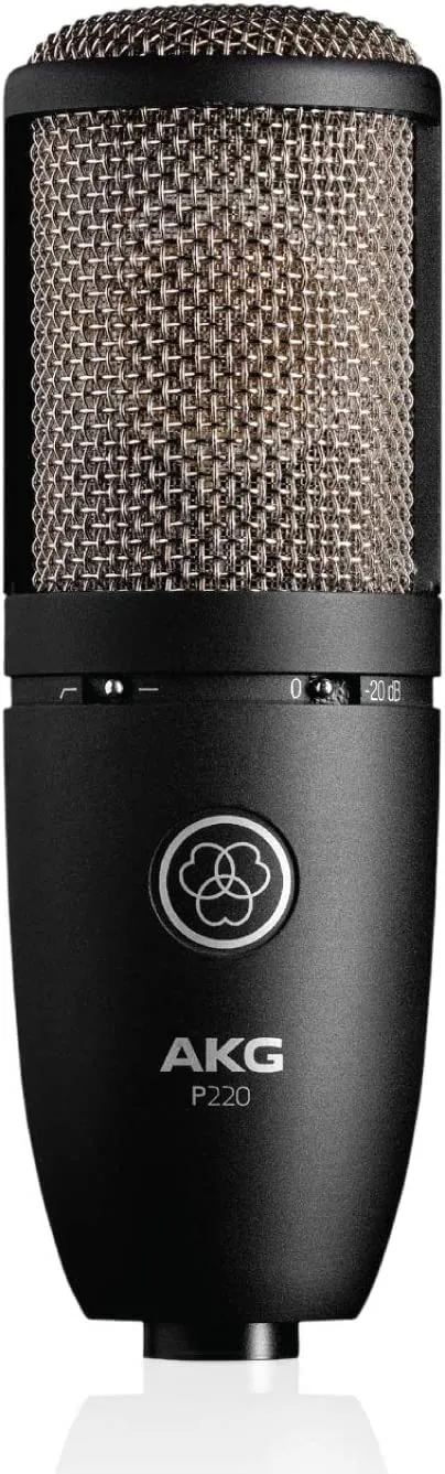 AKG Pro Condenser Microphone
